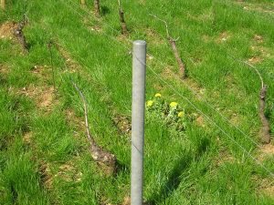 piquet en matière recyclé piquets pieux palissage viticole arboricole