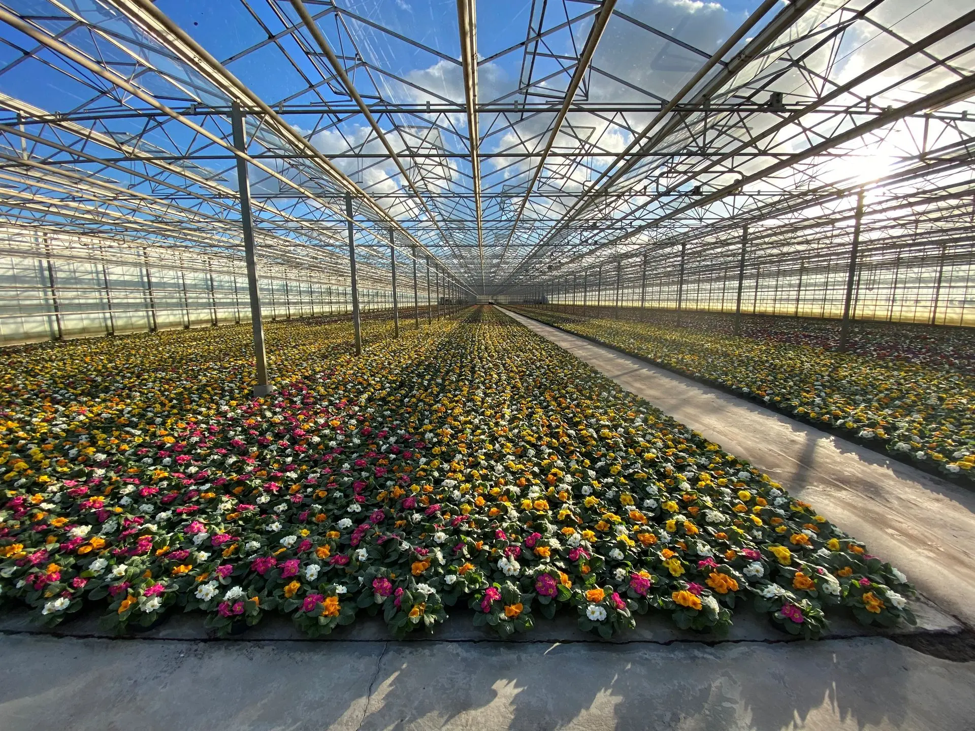 horticulture