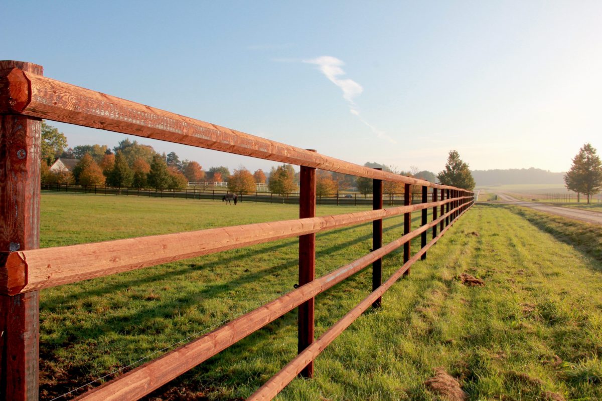 clôture en bois clôture chevaux centre équestre paddock barrière